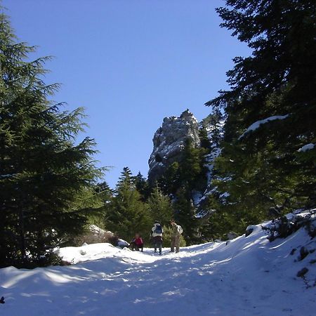 Casa La Palma Ξενοδοχείο Chefchaouen Εξωτερικό φωτογραφία