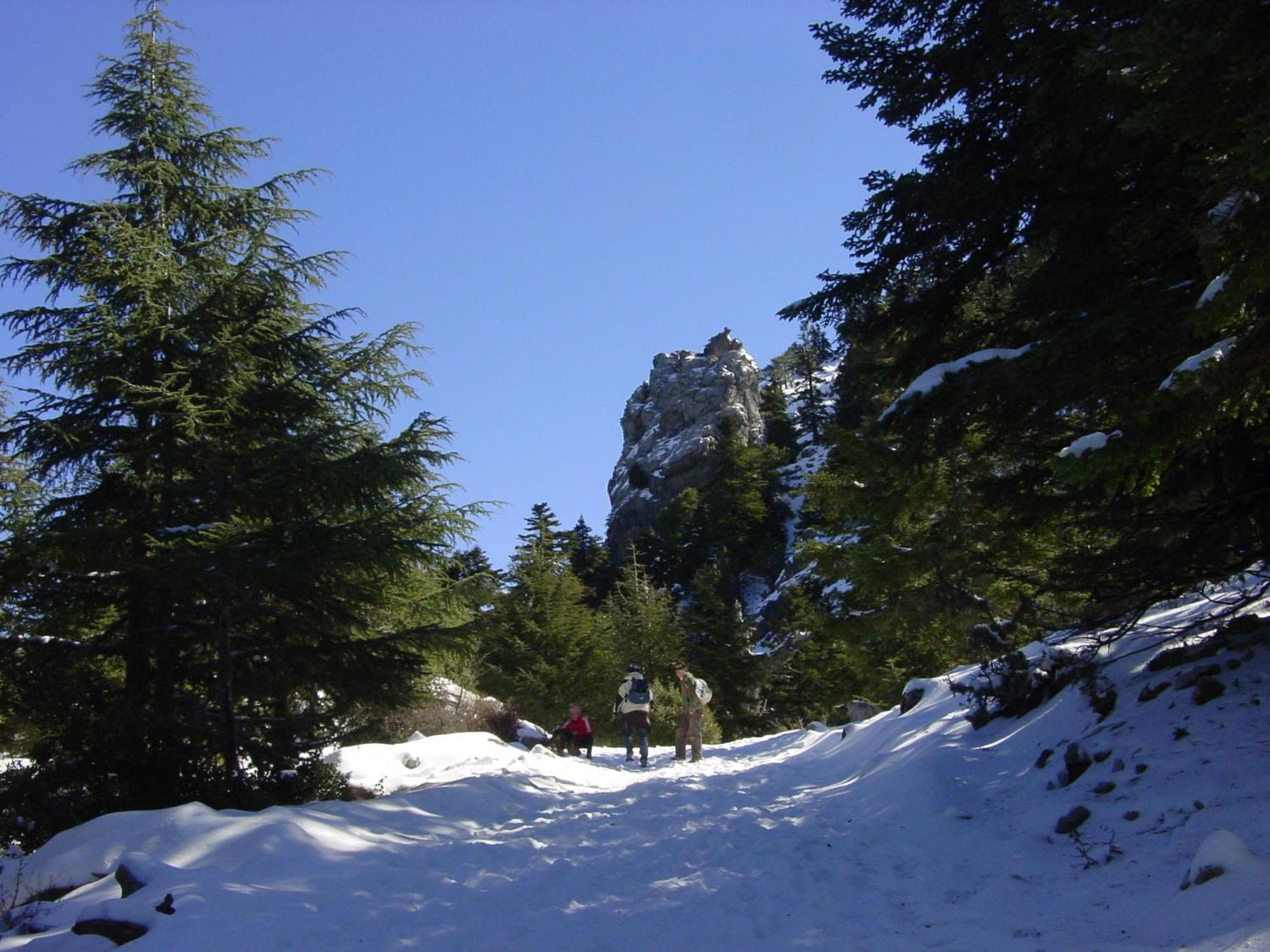 Casa La Palma Ξενοδοχείο Chefchaouen Εξωτερικό φωτογραφία