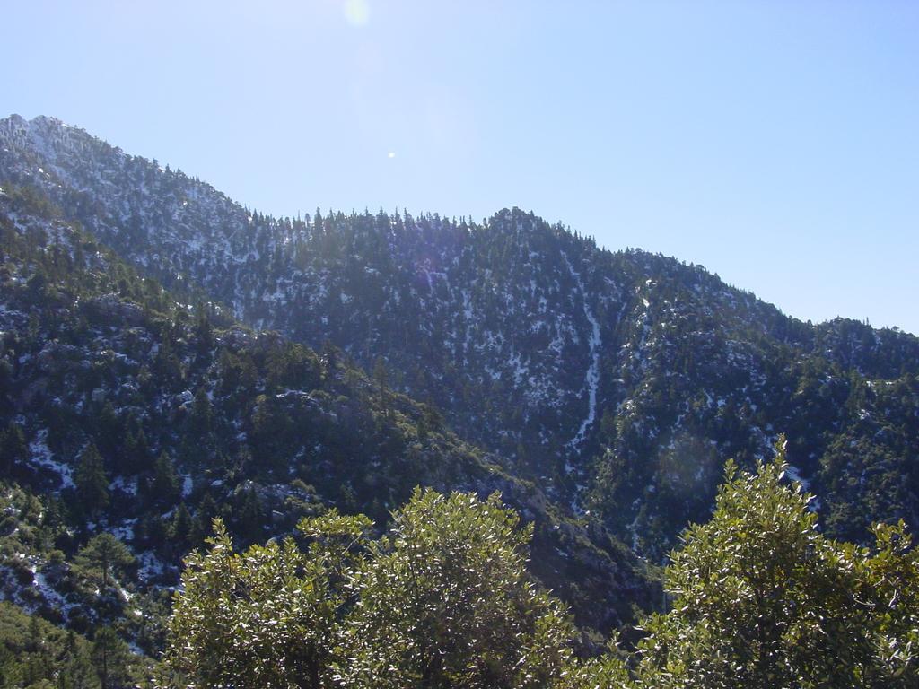 Casa La Palma Ξενοδοχείο Chefchaouen Εξωτερικό φωτογραφία